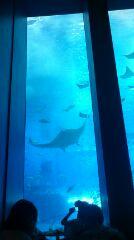 幼児二人連れのんびり旅行