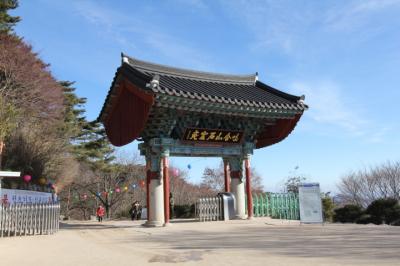 釜山＆慶州観光