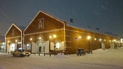 札幌・洞爺・函館 特典航空券の旅(その③)