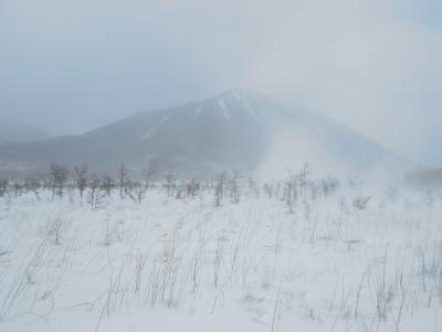 地吹雪の戦場ヶ原ハイキング～景色は素晴らしいが、とにかく寒い～