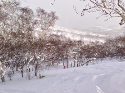 2014冬　niseko　snowbording＆さっぽろグルメ　2度美味しい旅