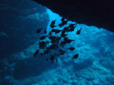 子育てから小休憩…沖縄へ女子旅！①青の洞窟シュノーケル