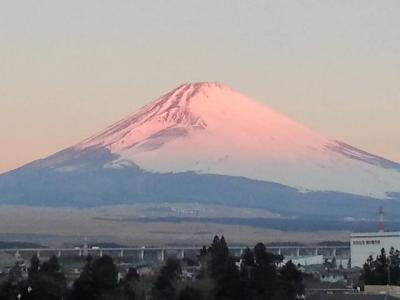 豪華な贅沢…世界遺産富士山を一人占めは「時之栖」