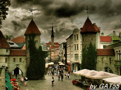 ２０１３年夏の旅vol.07～母親連れてエストニア・タリン編～