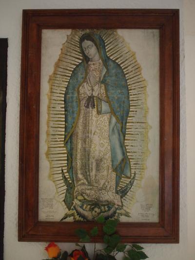 カンクン２０１３　ＦＬＩＧＨＴ ＆ ＳＴＡＹ