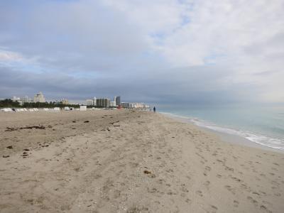 2013 冬のリゾート地 マイアミビーチ
