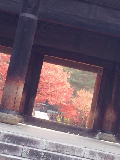 紅葉のなごり 2