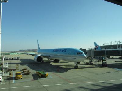 弾丸&の~んびりの年またぎUSA!(成田~仁川~LAX編)