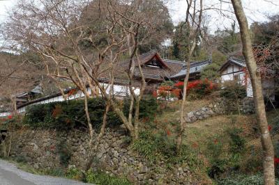 枯れた趣を訪ねる　奈良　正暦寺の南天