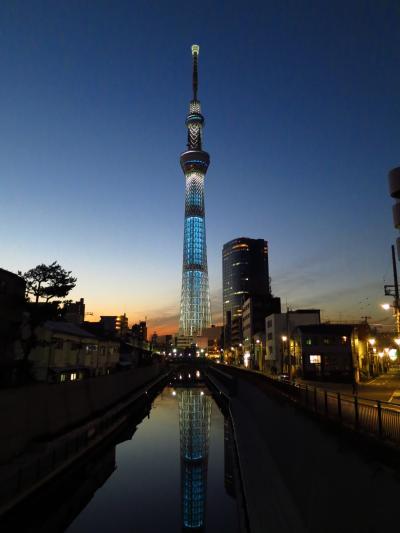 子どもと一緒に行く、澄んだ青空の下で楽しむ東京 Vol.2：マジックアワーの東京スカイツリーを愛で、地上450mからの夜景を眺めて