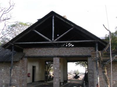 ケニア 動物探訪 ~マサイマラ → ナイロピ~