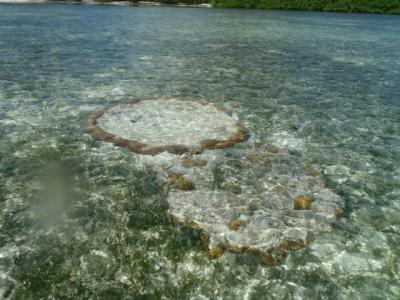 ミクロネシア・コスラエ編③