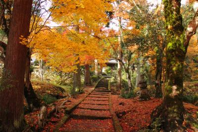 関西の紅葉の隠れ寺を訪ねる旅