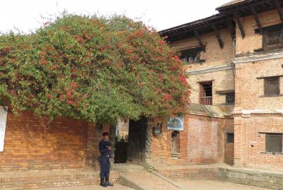 2014新春、ネパール旅行記(5/42)：1月22日(4)：ネパール、カトマンズからバクタプルへ、ダルバール広場