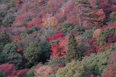 紅葉の絶景、小豆島「寒霞渓」を撮りに行く