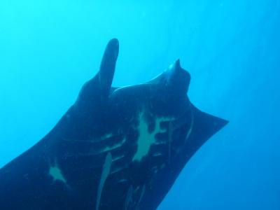 天国にいちばん近い島と海を堪能