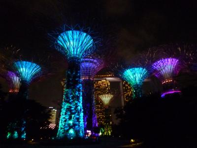 年末年始シンガポール5泊7日☆夜は無料のショーと夜景を満喫した旅～後編～