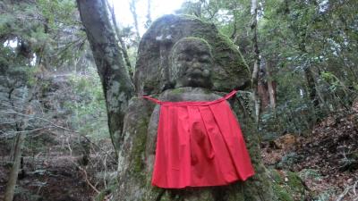 春日山原始林②