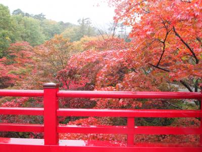 紅葉と初雪を同時に観賞！新潟日帰りバス旅行