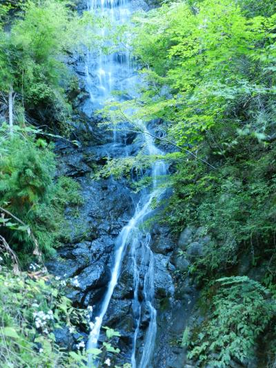 大柳川渓谷の滝群（観音滝・天淵の滝etc.）◆2013秋・山梨県＆長野県の滝めぐり≪その５≫