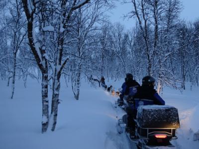 見渡す限りの新雪の中、犬ぞりに出会う