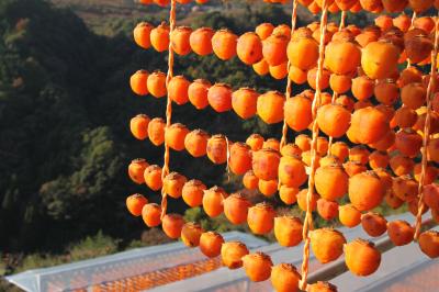 和歌山　四郷の串柿を訪ねて