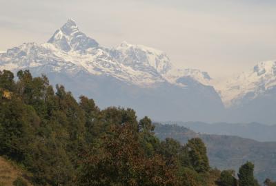2014新春、ネパール旅行記(22/42)：1月24日(2)：ポカラ、ラムコットの丘からヒマラヤ連峰眺望