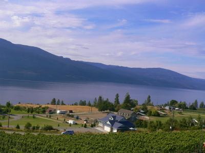 わんだふるカナダ その7 オカナガン ワイナリー