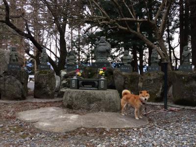 伊那谷七福神巡り