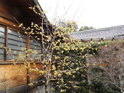 城山八幡宮・晴明神社・上野天満宮2014