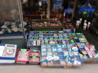 車中泊で山陰の旅~まず出雲大社で安全祈願&日御碕灯台編