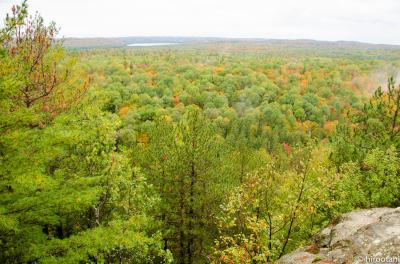 カナダ・アルゴンキン州立公園の秋 (Alguonquin Provincial Park)