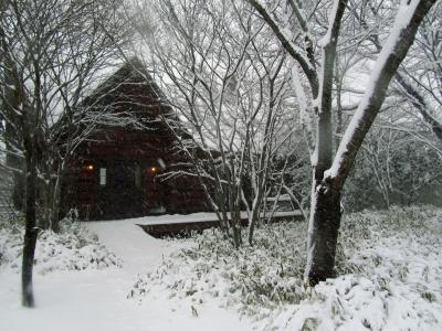 雪は我が家の近所をおとぎ話の舞台にする！？～関東で13年ぶりの大雪警報が出た日の雪景色