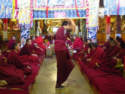 7days in Tibet10★ラサ★デプン寺とセラ寺で問答修行を見る