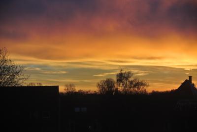 ドイツ・ベルギー1人旅　4日目～後半～