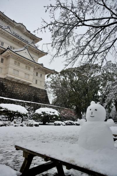 雪景色のお城は美しい！雪の東名走りました。こんな光景見た事ない！！走らなければお家に帰れない！！！