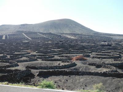 ランサローテ島で年越し