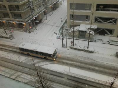 近所の積雪を撮りました。