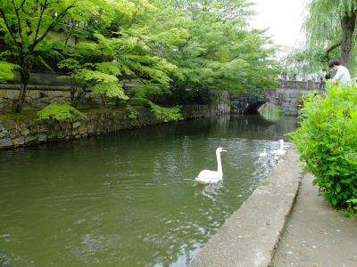 ふらっと気まま旅～倉敷～