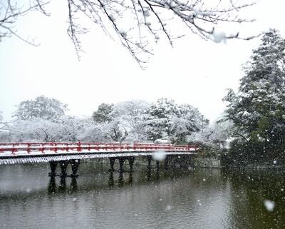 小田原城　 お城には「雪」が良く似合います