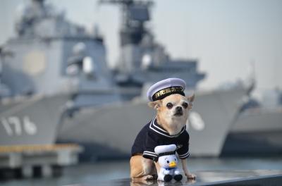 神奈川探訪　ヴェルニー公園