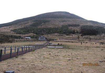 伊豆諸島ウオークin八丈島③　第二日目　ふれあい牧場などへドライブ