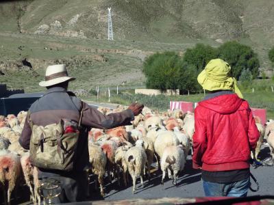 7days in Tibet12★ラサ★のんびりな…ヤムドゥク湖への道のり