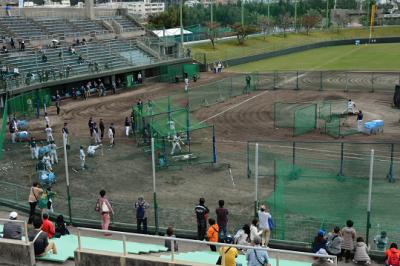 2014プロ野球キャンプを見に行こう!(予定外に美ら海水族館も行ってみた)