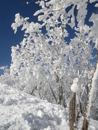 奈良の霧氷をもとめて～