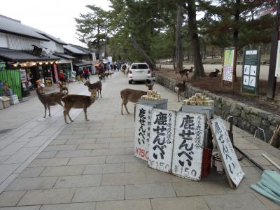 奈良を街歩き（３）奈良公園