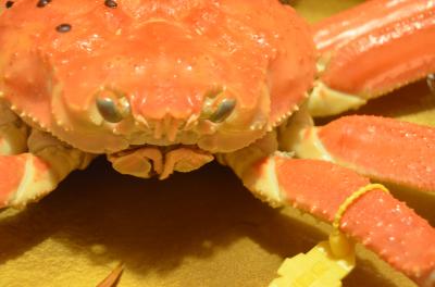 東尋坊と蟹三昧