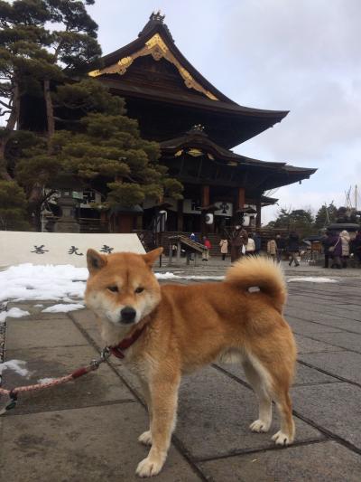 禅に引かれて善光寺七福神巡り