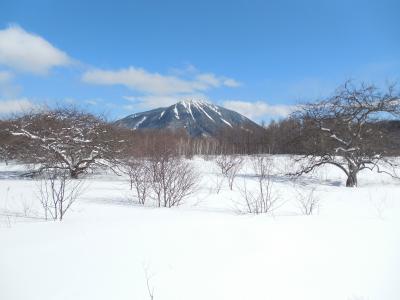 小田代ヶ原スノーシューハイキング