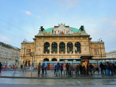 クリスマスのウィーンはキラキラ☆*・。*(2013年12月)